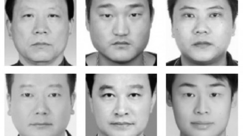 我那倒霉催的“AI相面代理”经历：本以为躺赚，结果差点把底裤都赔进去！