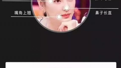 AI智能面相代理怎么用？别再傻傻交学费，揭秘从入门到“躺赚”的野路子