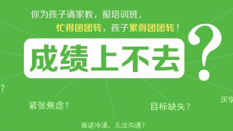 AI实景直播代理怎么做？我跑了三个月，把这套“躺赚”模式摸透了